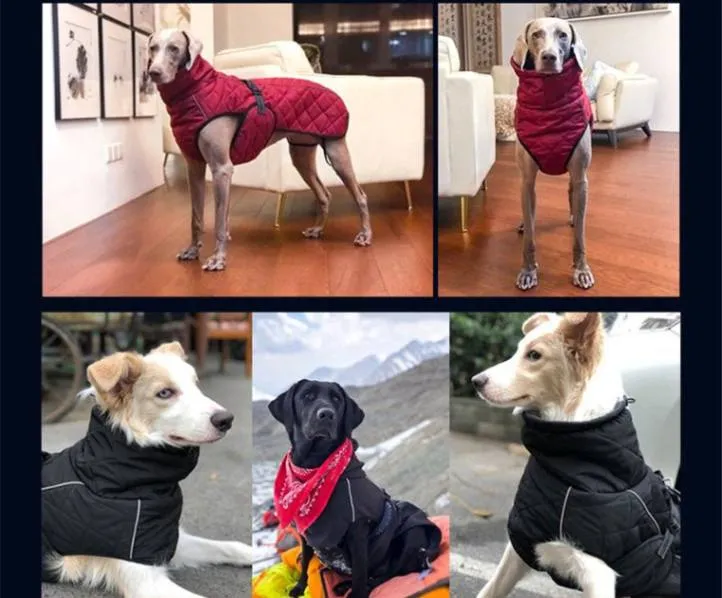 ASMPET Dog Winter Jacket: Ultimate Warmth and Style for Your Pup!