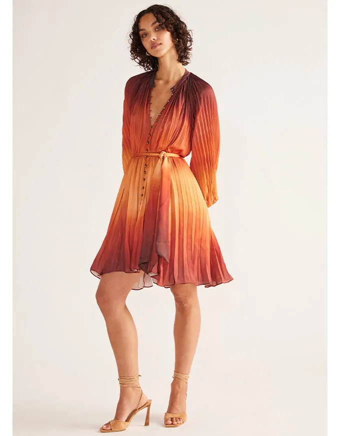 Esme Mini Dress Print