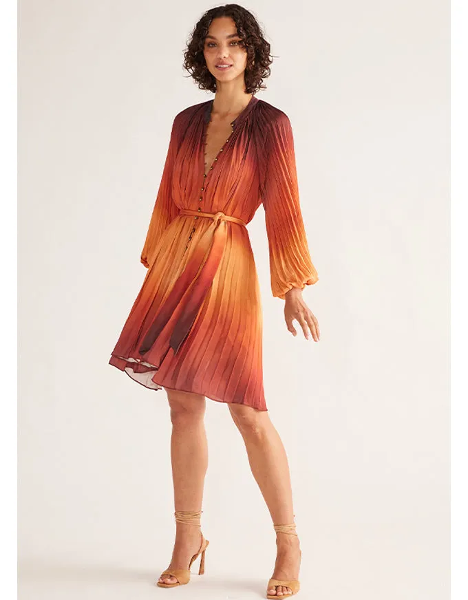 Esme Mini Dress Print